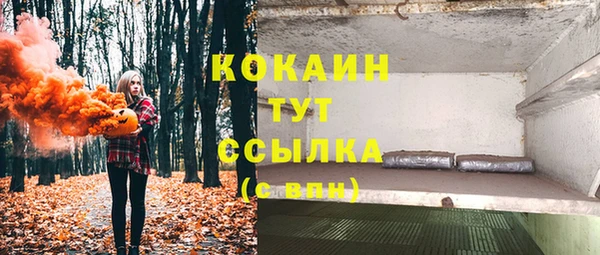 ПСИЛОЦИБИНОВЫЕ ГРИБЫ Алексин
