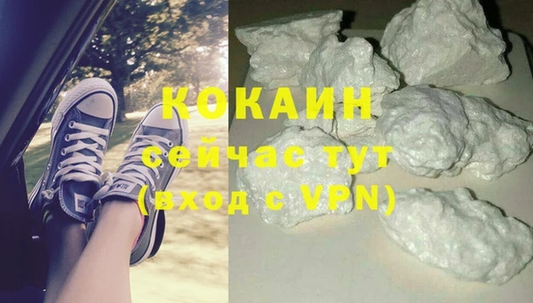 стаф Арсеньев