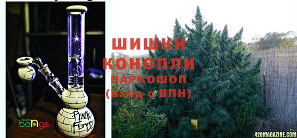 винт Алзамай