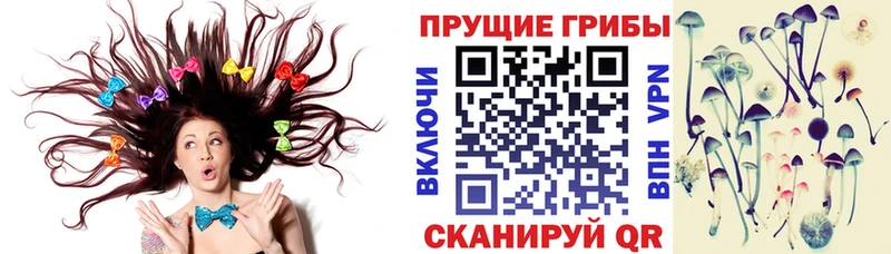 Псилоцибиновые грибы мицелий Кимры
