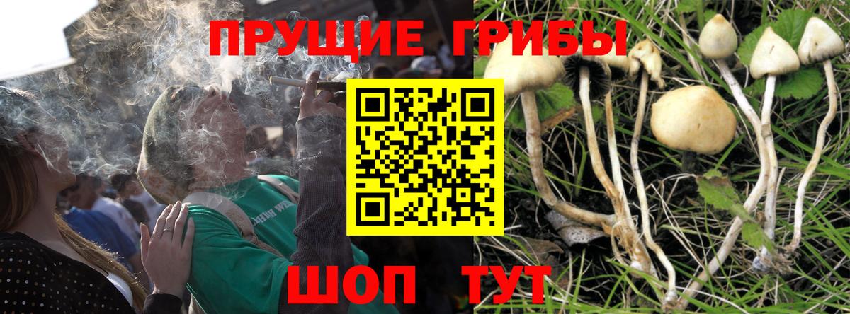 Кимры  Галлюциногенные грибы прущие грибы  Вход с VPN  закладка  Псилоцибиновые грибы мухоморы 