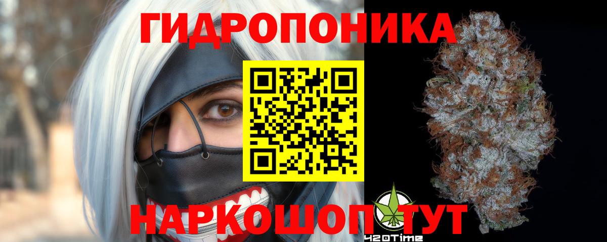 Каннабис семена  Вход с VPN  Бошки Шишки SATIVA & INDICA  Кимры 
